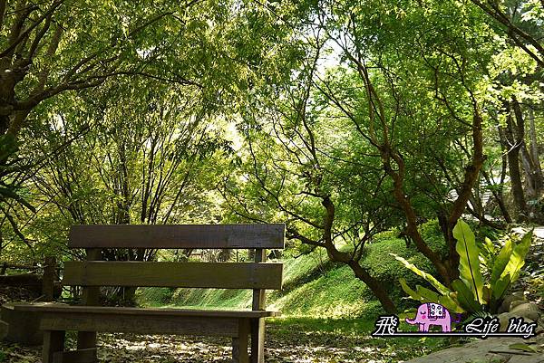 P1210579 P1210579