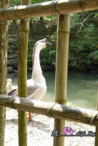 P1210603 P1210603