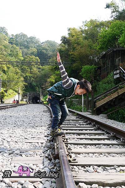 P1210809 P1210809
