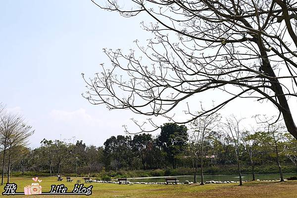 P1220880.JPG P1220880.JPG