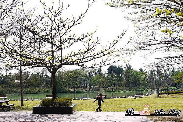P1220987.JPG P1220987.JPG
