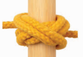 Boa Knot.png