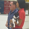 Dogs in Nice Airport