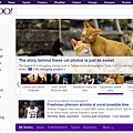 貓夫人躍上Yahoo美國首頁 8億網友看見台灣之美