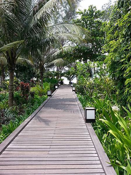 11951932_10207646618582140_8127769810512302526_n