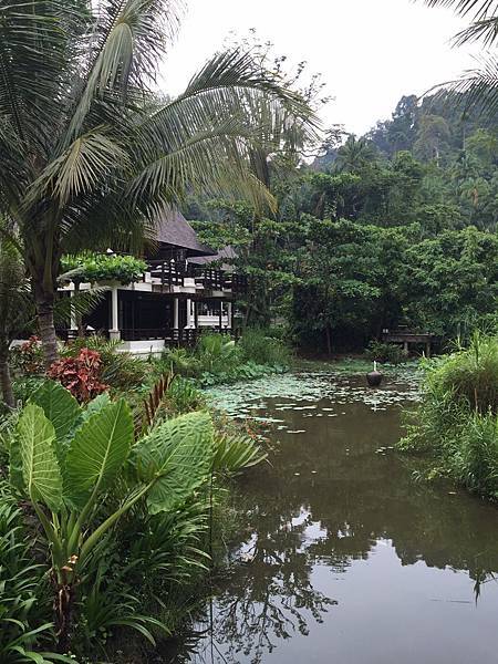 11879089_10207637860363190_4192186770286341847_o