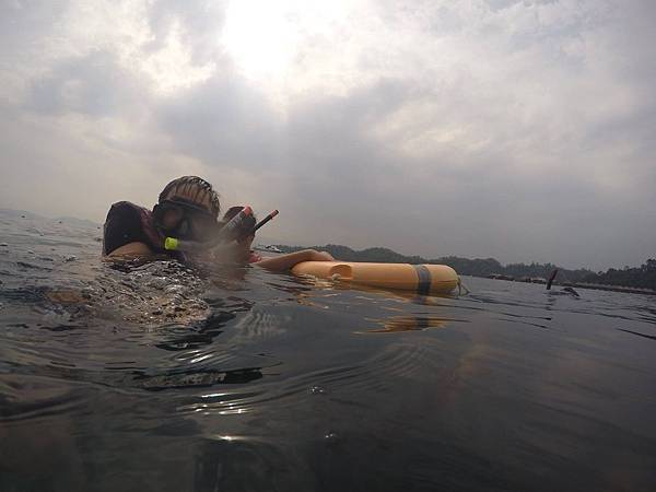 11895137_10207646565100803_3062000074695549567_o