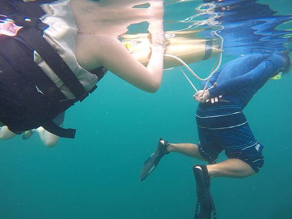 11895303_10207646563300758_5932979109322515474_o