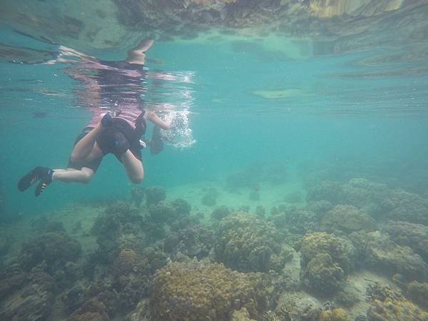 11221740_10207646563420761_2424598028223800061_o