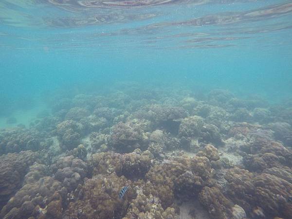 11884646_10207646563540764_7146888647867974508_o