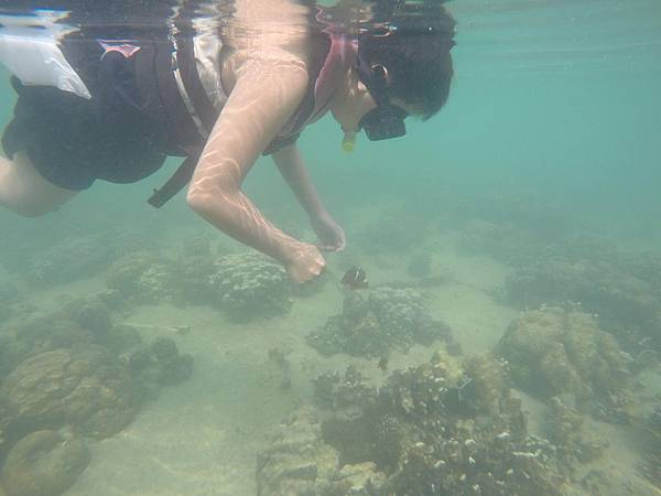 11952732_10207646576701093_569531126430622544_o