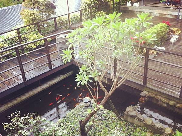 1522887_10202814207454882_1946582018_o