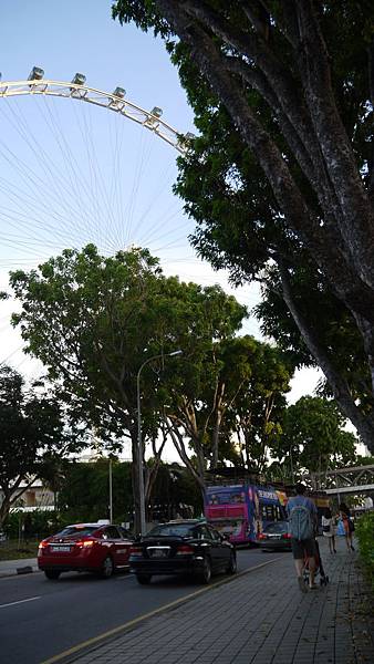 P1140159 P1140159