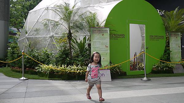 P1140015 P1140015
