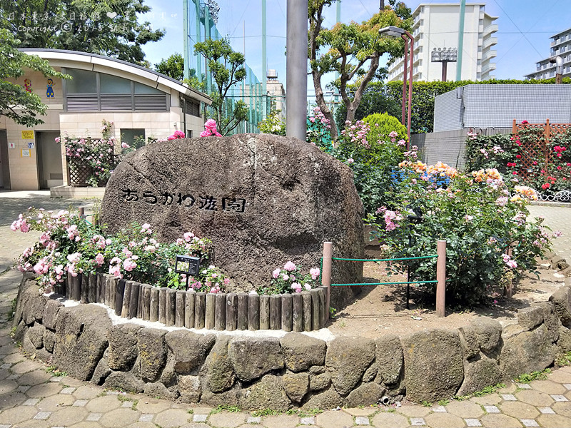 日本東京 幼幼版兒童樂園 荒川遊園地 巢鴨地藏通商店街 凱莉小姐的日常 痞客邦