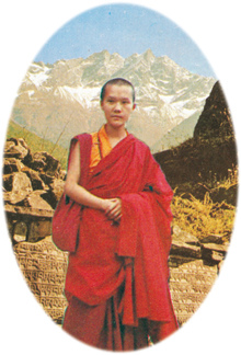 sl1-tipe-210.jpg sl1-tipe-210.jpg