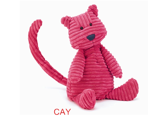 CORDY ROY CAT