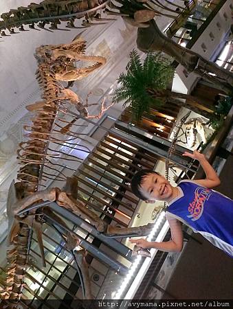恐龍博物館