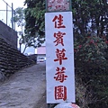 佳賓草莓園