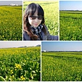 04.遇見油菜花.jpg