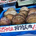 06.帆立貝.jpg
