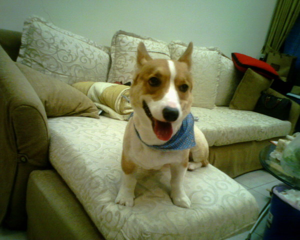 IMG0110A.jpg