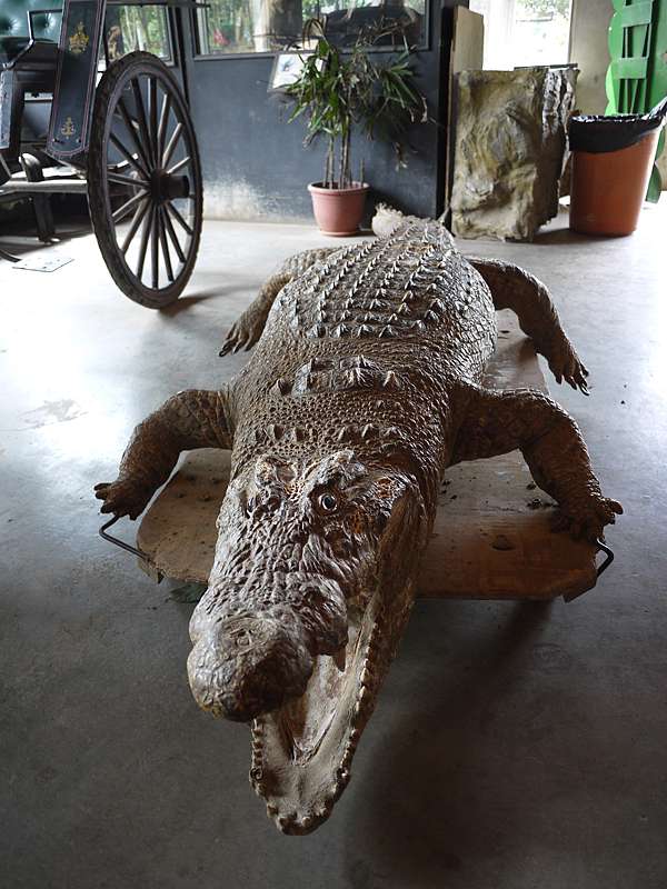 台中市后里區 后里馬場 來這當然是要學騎馬和看騎馬 美食過客 痞客邦 台中市后里區 后里馬場 來這當然是要學騎馬和看騎馬 美食過客 痞客邦