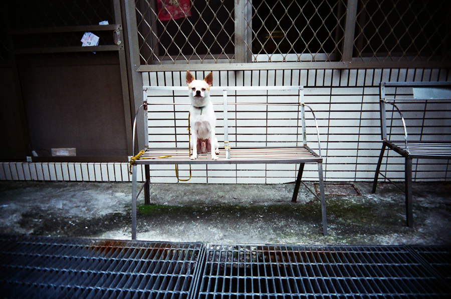 2 (11 - 21).jpg 2 (11 - 21).jpg