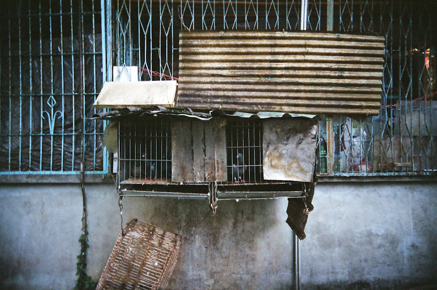 2 (21 - 21).jpg 2 (21 - 21).jpg