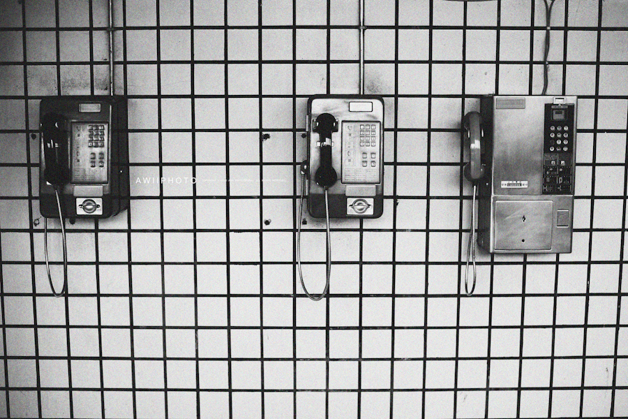 051.jpg 051.jpg