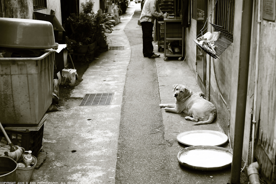 026 拷貝.jpg 026 拷貝.jpg