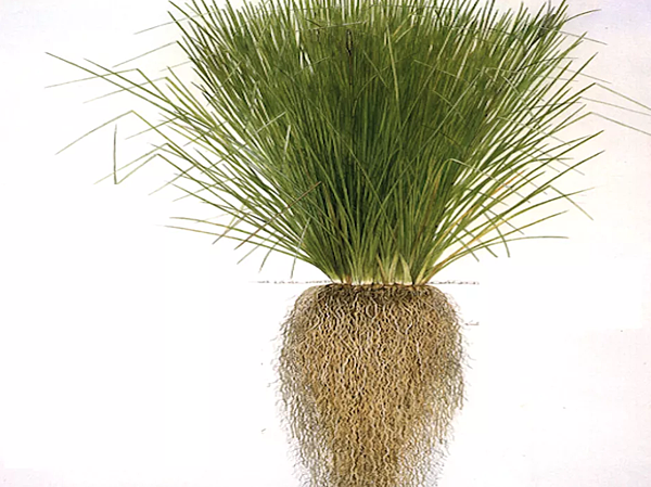 2023招財精油、2022招財精油、2021招財精油、2020招財精油、招財 精油香水、招財精油使用方法、招財精油、招財精油diy、招財精油配方、招財精油組合、招財精油噴霧、招財精油調配、招財精油有什麼、廣藿香精油招財、岩蘭草精油招財、生薑精油招財、檀香精油招財、洋甘菊精油招財、佛手柑精油招財、雪松精油功效、肉豆蔻精油招財、招財精油香水 2023招財精油、2022招財精油、2021招財精油、2020招財精油、招財 精油香水、招財精油使用方法、招財精油、招財精油diy、招財精油配方、招財精油組合、招財精油噴霧、招財精油調配、招財精油有什麼、廣藿香精油招財、岩蘭草精油招財、生薑精油招財、檀香精油招財、洋甘菊精油招財、佛手柑精油招財、雪松精油功效、肉豆蔻精油招財、招財精油香水