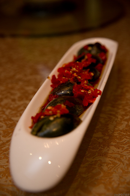 DSC03532.jpg DSC03532.jpg