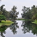 DSC_0345.JPG