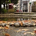 _DSC0302_.jpg