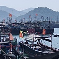 IMG20191110114034.jpg