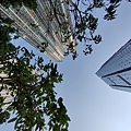 IMG20200118135947.jpg