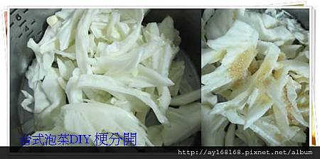 台式泡菜DIY-1