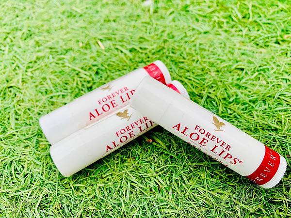 S__20955145.jpg S__20955145.jpg