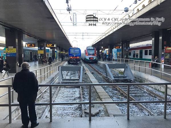 Day02-Roma (16).jpg Day02-Roma (16).jpg