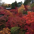 東福寺-6.jpg