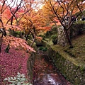 東福寺-11.jpg