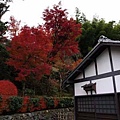 鳥居本-14.jpg