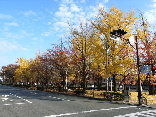 東本願寺02.JPG