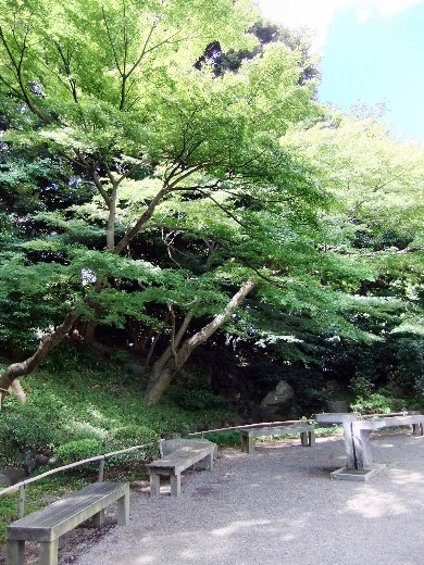 小石川後樂園12.JPG