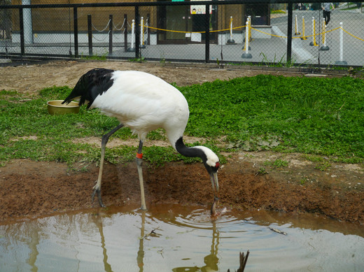 0510 旭川動物園20