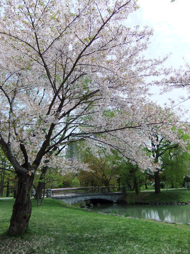 0511 中島公園04