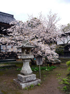 龍雲院02