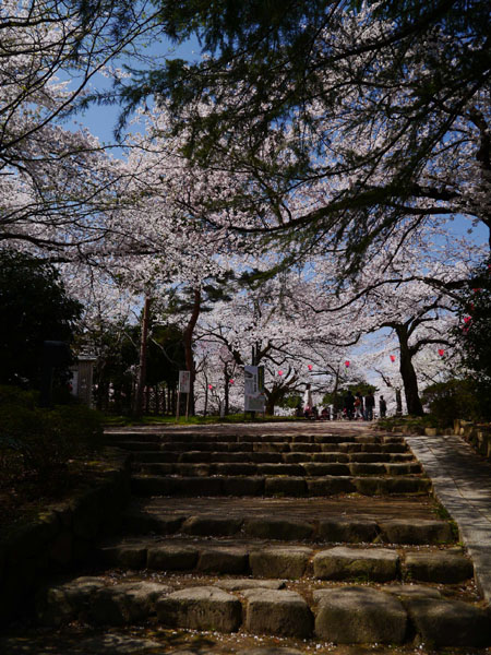 0409 高岡古城公園02