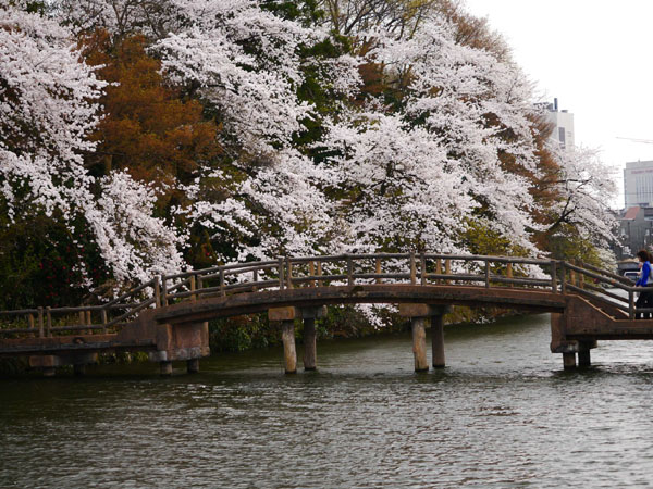 0409 高岡古城公園24